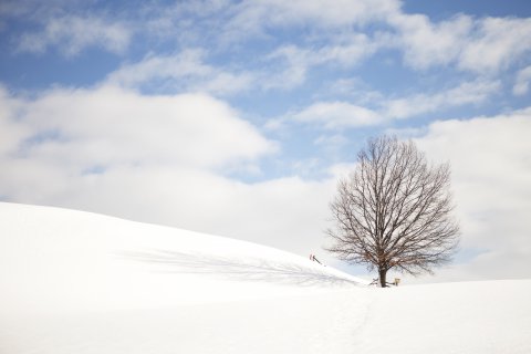 Winterlandschaft zum Erholen im Weihnachtsurlaub in Österreich