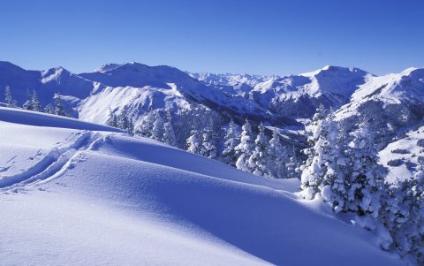 Schneeschuhwandern in Österreich abseits der bekannten Strecken