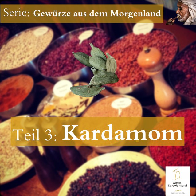 Kardamom